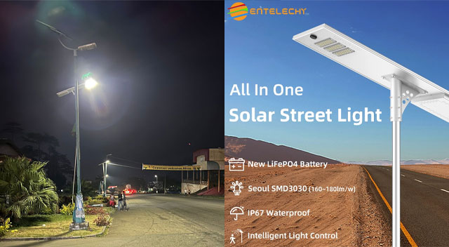 Cameroon Street Project Solar Street Light-BST-AIO-S02